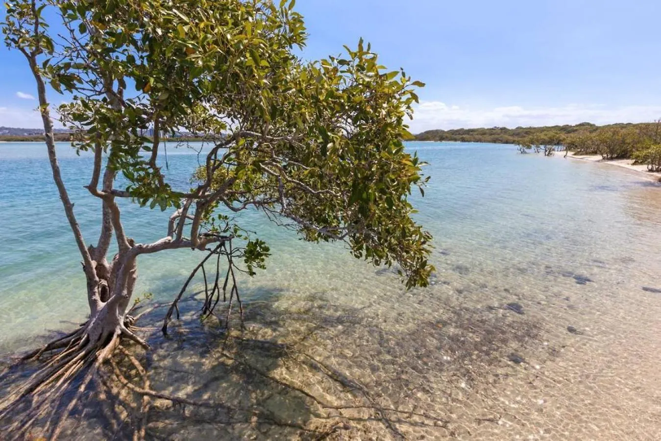 Twin Waters Seaside Resort Life Australia